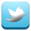 Twitter social network