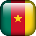 Flag cameroon