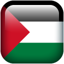 Palestine flag