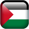 Palestine flag