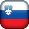 Slovenia flag