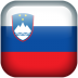 Slovenia flag