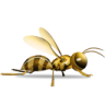 Wasp