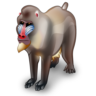 Baboon