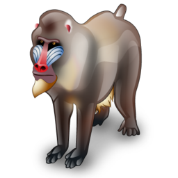Baboon