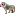Baboon