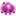 Octo