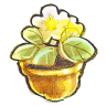 Flowerpot flower