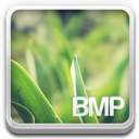 Bmp file