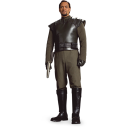 Bail organa wars starwars