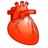 Heart cardiology