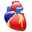 Cardiology organ heart