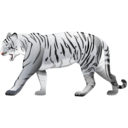 White tiger