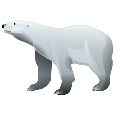 Bear polar