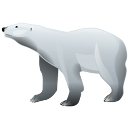 Bear polar