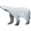 Bear polar