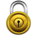 Password secure lock