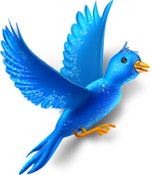 Animal twitter fly bird