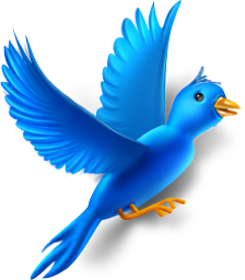 Twitter bird