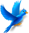 Twitter bird