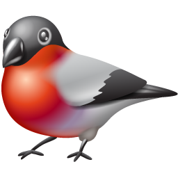 Animal bullfinch twitter bird