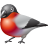 Animal bullfinch twitter bird