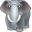 Elephant animal