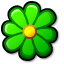 Icq flower