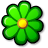 Icq flower