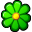 Icq flower