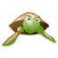 Animal turtle
