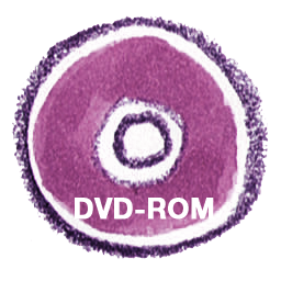 Dvdrom natsu