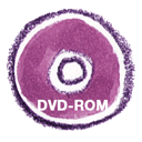 Dvdrom natsu