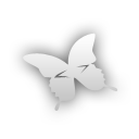 Butterfly indesign